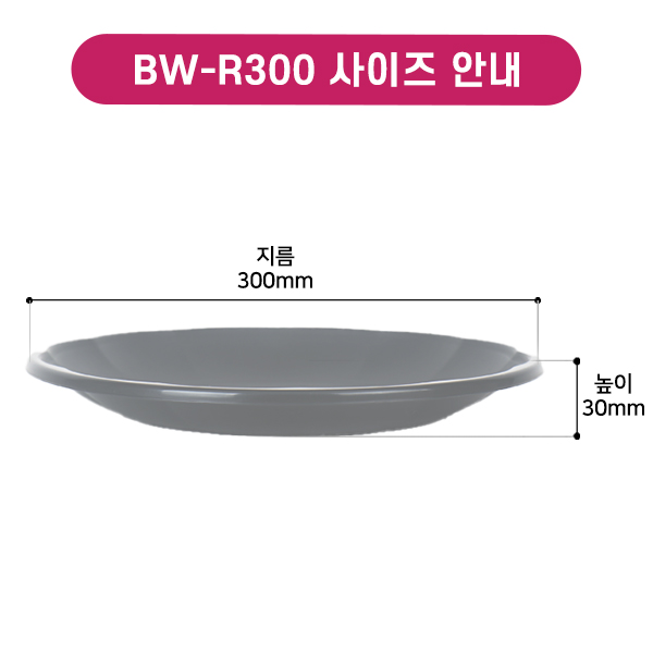 BW-R300 다회용접시-특대